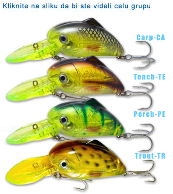 Click on a picture to see full group 